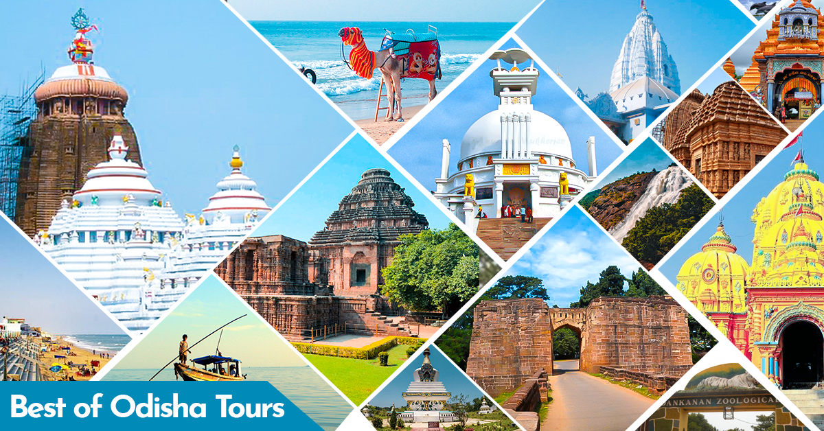 Puri to Chilika Distance: Road Trip Guide, Routes, Travel Tips & More